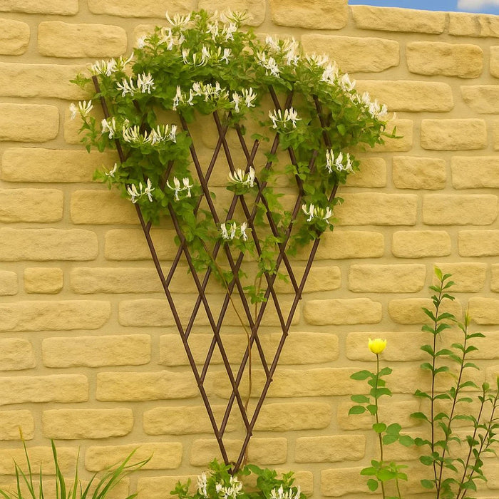 The Sovereign Expanding Radiating Fan Trellis (1.8m)