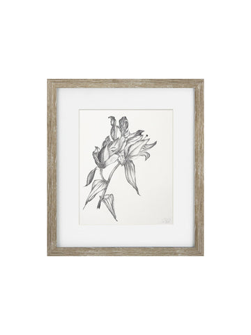 Vintage Black and White Floral IV Framed Print