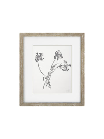 Vintage Black and White Floral II Framed Print
