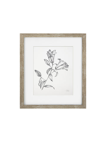 Vintage Black and White Floral I Framed Print