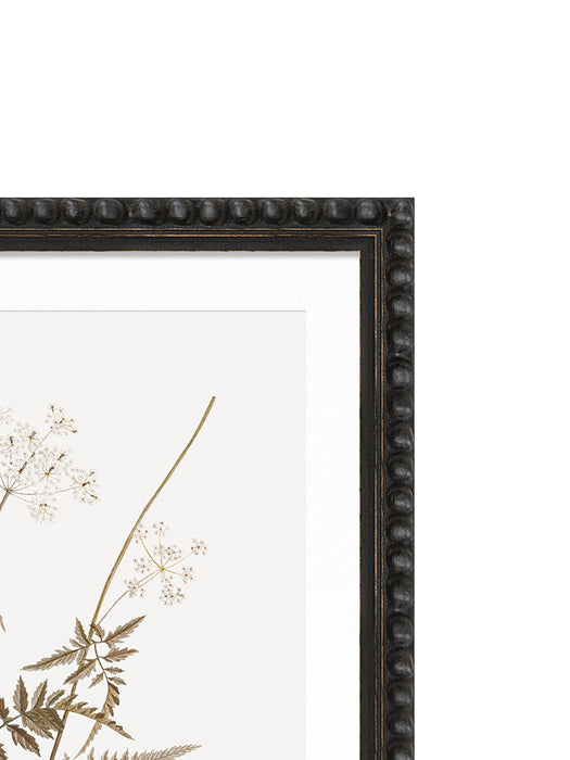 Sepia Floral I Framed Artwork with Bobble Frame