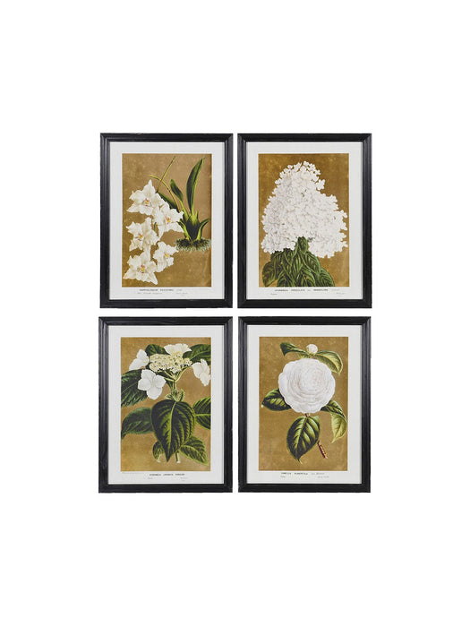 Set of 4 White Florals Wall Art