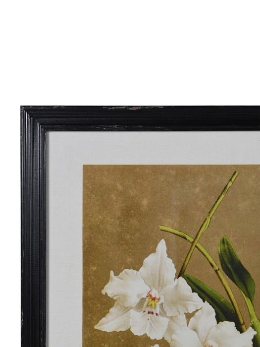 Set of 4 White Florals Wall Art