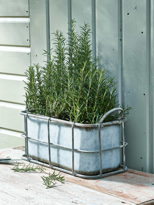 Industrial Style Trough Planter
