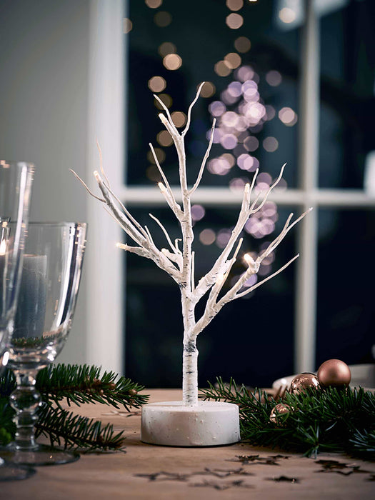 Miniature Birch Tree