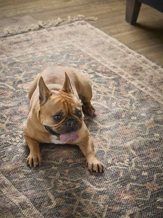 Alidia Rug