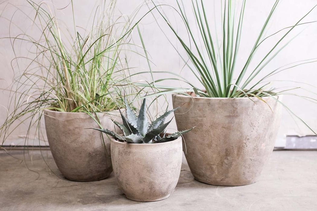 Affiti Clay Planter Large