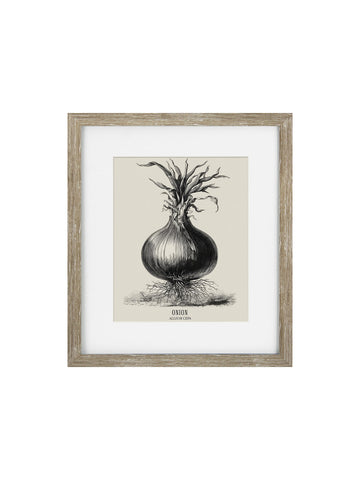 Vintage Onion Framed print