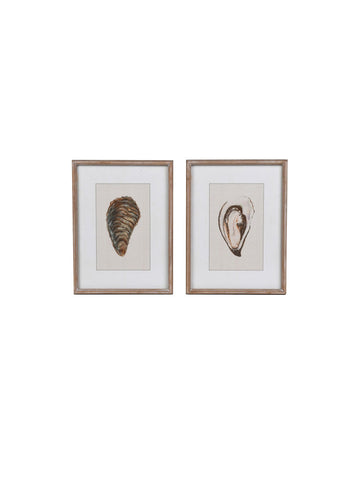 Oyster Framed Prints - Set of 2