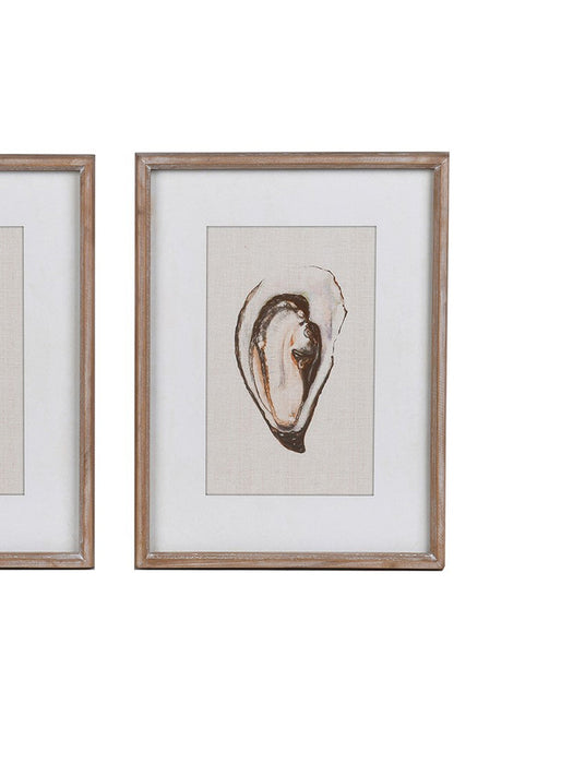 Oyster Framed Prints - Set of 2