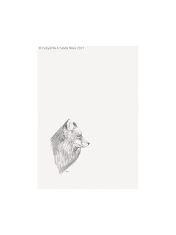 Fox Giclee Art Print