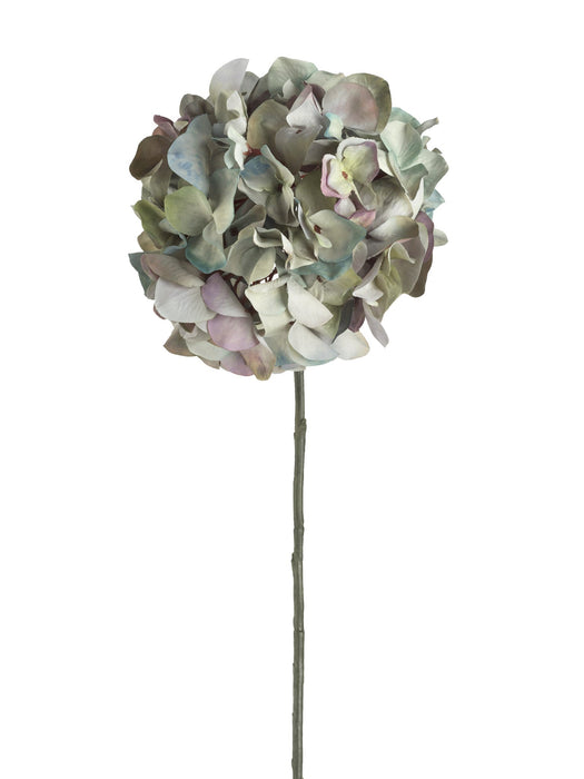Lavender Hydrangea Stem