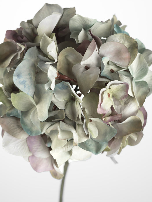 Lavender Hydrangea Stem