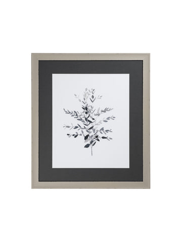 Soft Grey Eucalyptus II Framed Picture
