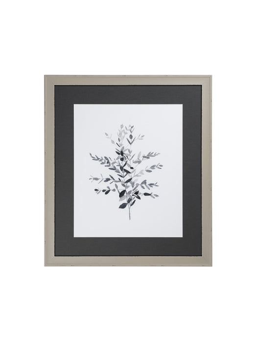 Soft Grey Eucalyptus II Framed Picture