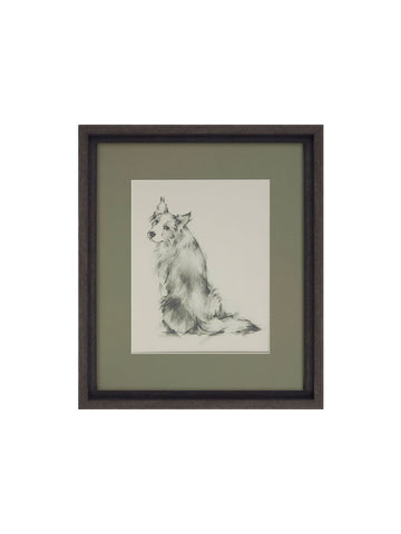 Puppy Eyes V Framed Picture