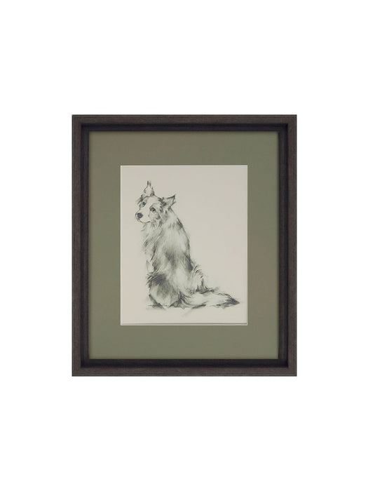 Puppy Eyes V Framed Picture