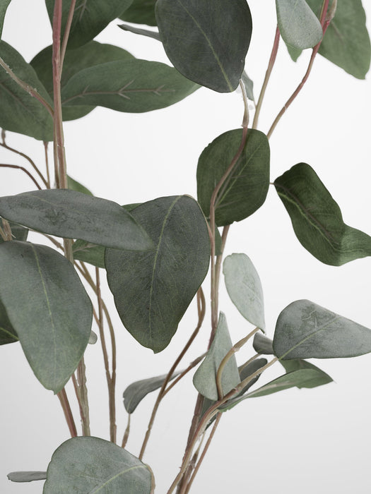 Faux Silver Dollar Eucalyptus