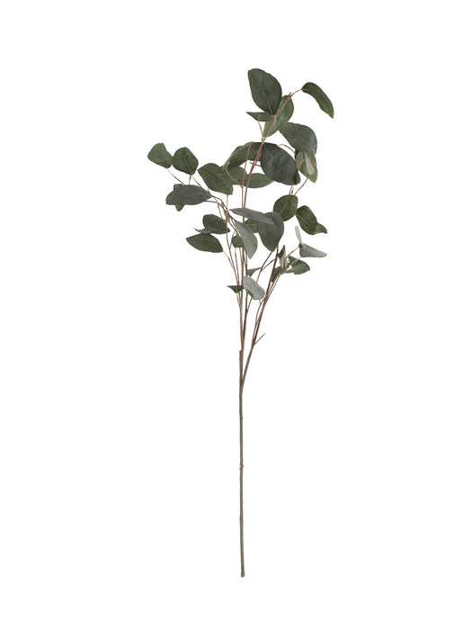 Faux Silver Dollar Eucalyptus