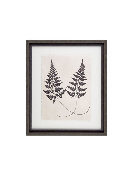 Vintage Ferns I Framed Picture