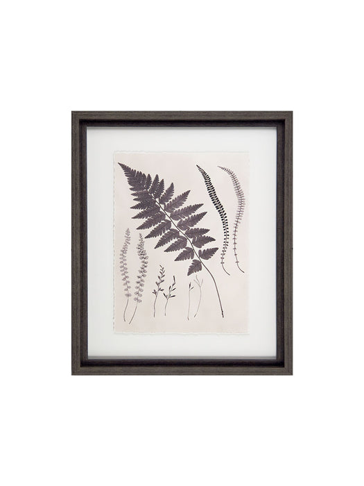 Vintage Ferns II Framed Picture