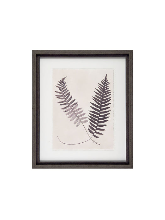 Vintage Ferns III Framed Picture