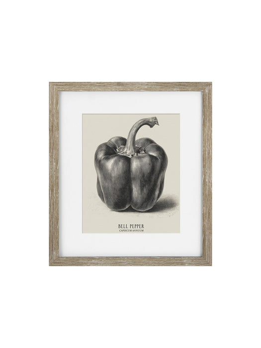 Vintage Vegtables Set of three Framed Prints