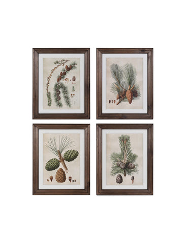 Set of 4 Pinecone Framed Prints