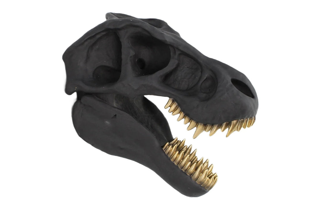 Decorative Skull T-Rex 35cm Polyresin Black