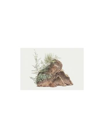 Rock Landscape