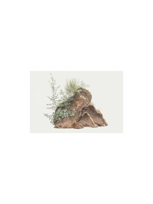 Rock Landscape