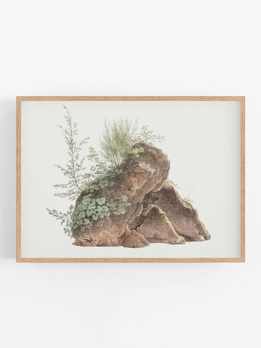 Rock Landscape