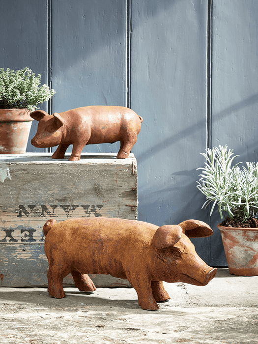 Rusty Pig - Large