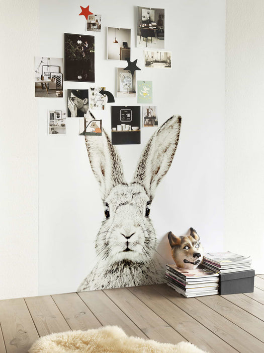 Magna Rabbit Wallpaper