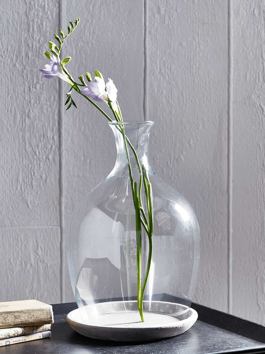 Glass Plant Cloche