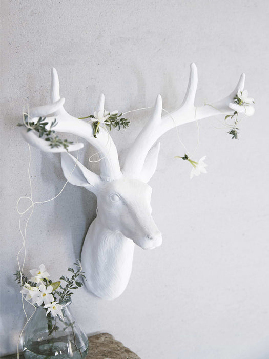 Majestic Deer Head