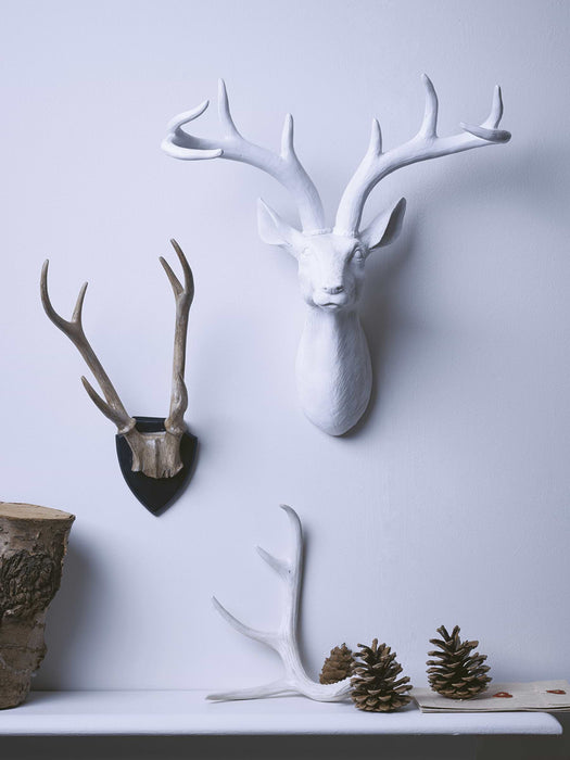 Majestic Deer Head