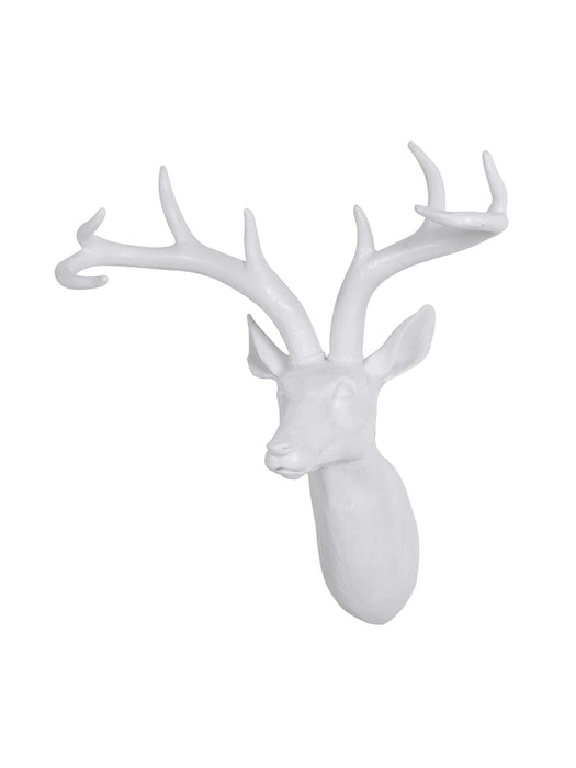 Majestic Deer Head