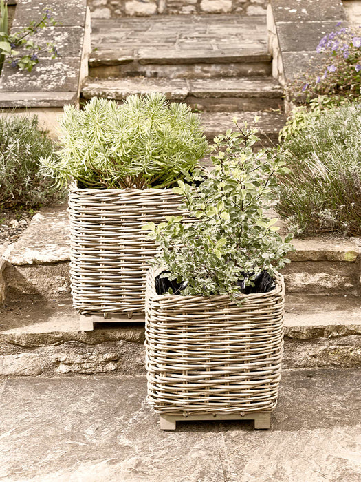 Two Indoor Outdoor Square Rattan Planters