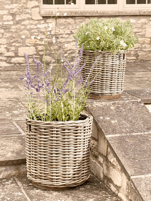 Two Round Rattan Planters
