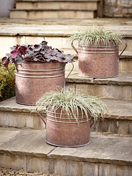 Three Aged Planters - Copper
