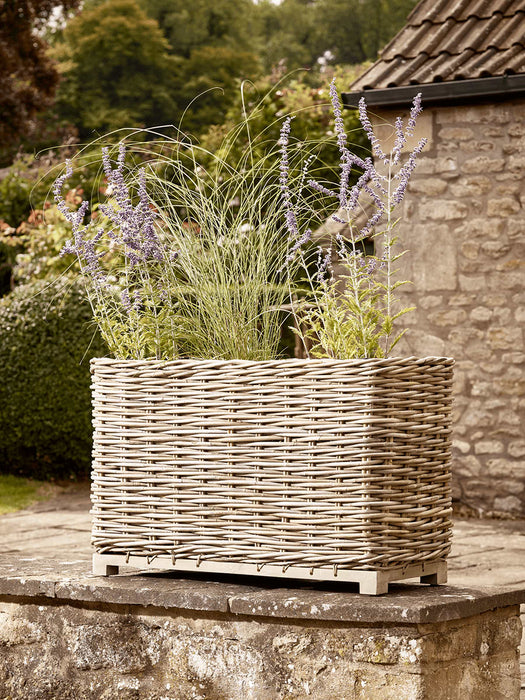 Indoor Outdoor Rattan Planter