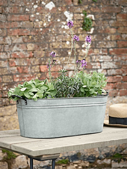 Aged Zinc Trough