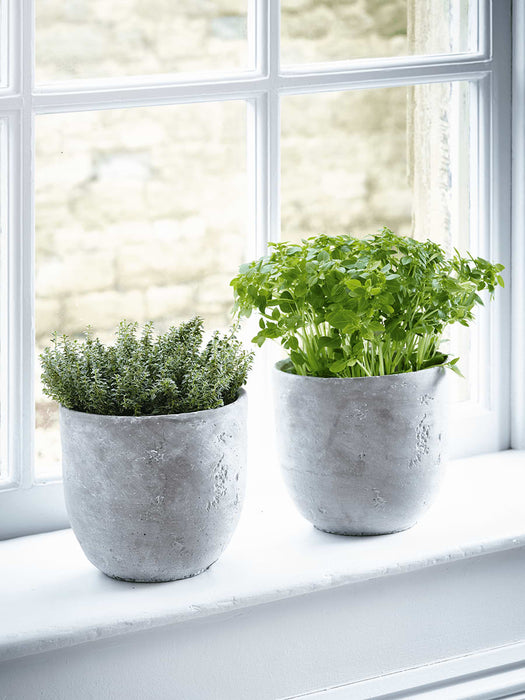 Two Concrete Planters