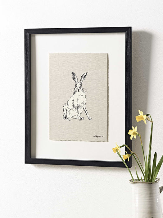 Four Framed Hare Prints