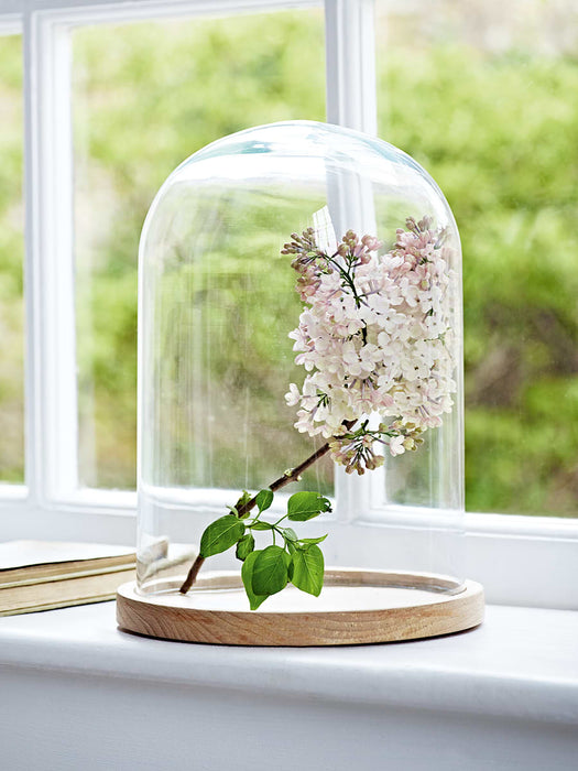 Oak Display Dome