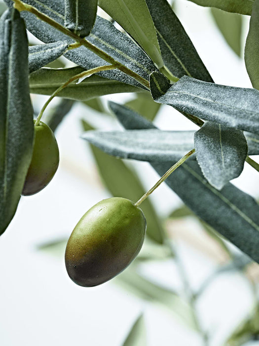Faux Potted Olive Tree