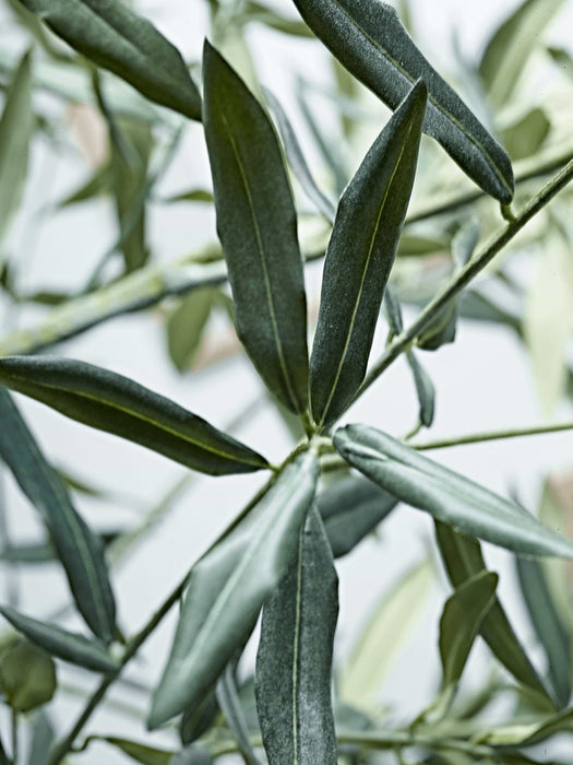 Faux Potted Olive Tree