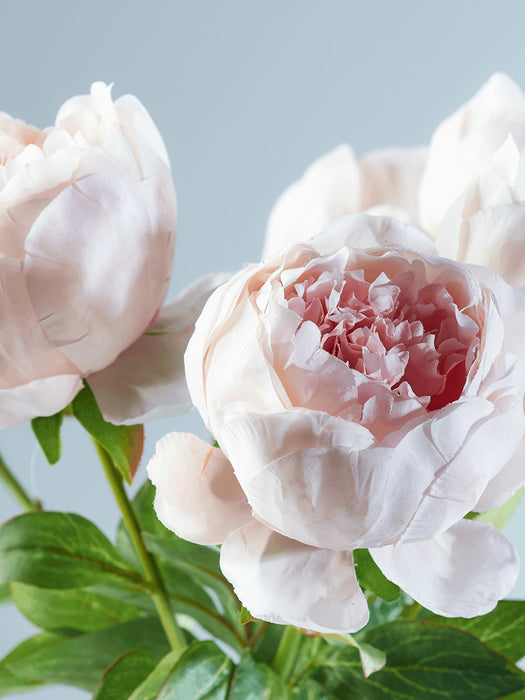 Six Faux Peony Stems
