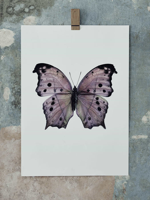 Butterfly Print Pink Mother of Pearl - XL